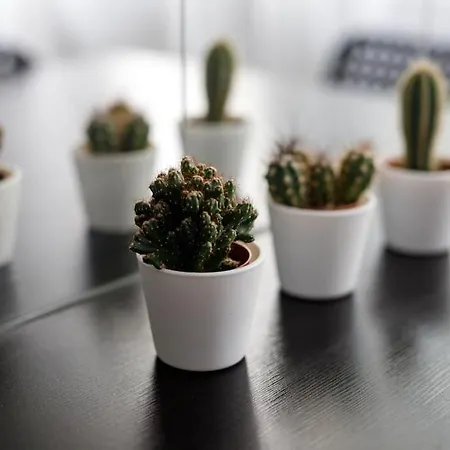 Close-central - Old Town - Comfortable And Cozy - W3 Вроцлав