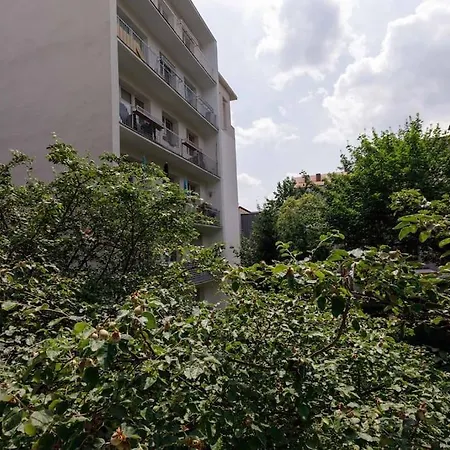 Close-central - Old Town - Comfortable And Cozy - W3 Apartment *